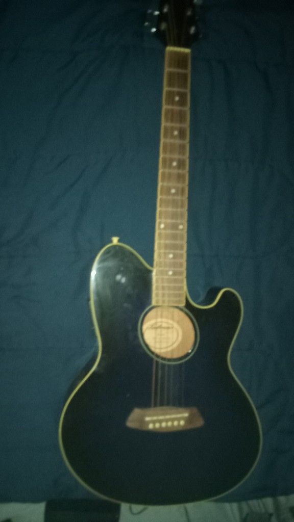 Ibanez Acoustic Electric Guitar