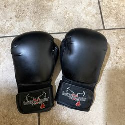 Boxing Gloves 