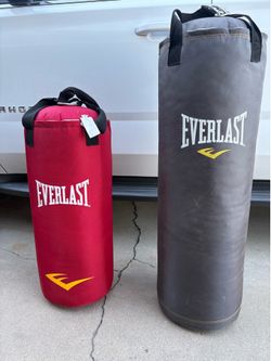 Everlast heavy bags and dual station stand