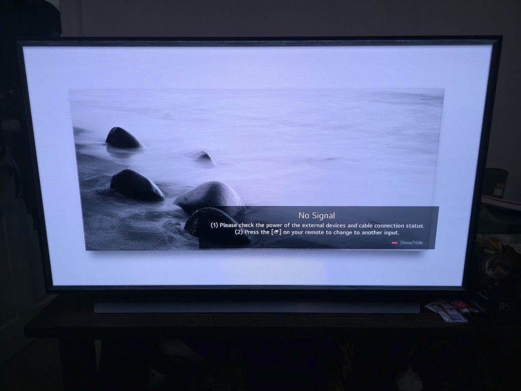 LG CX 55 Inch TV OLED