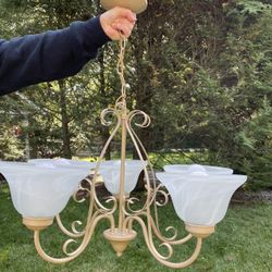 Beautiful 5 Bulb Chandelier 