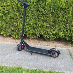 Electric Scooter 450W Powerful Motor