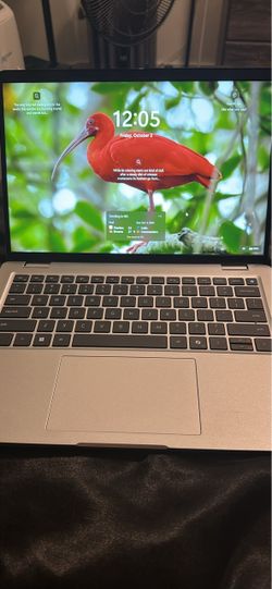 Dell Pro 14 plus