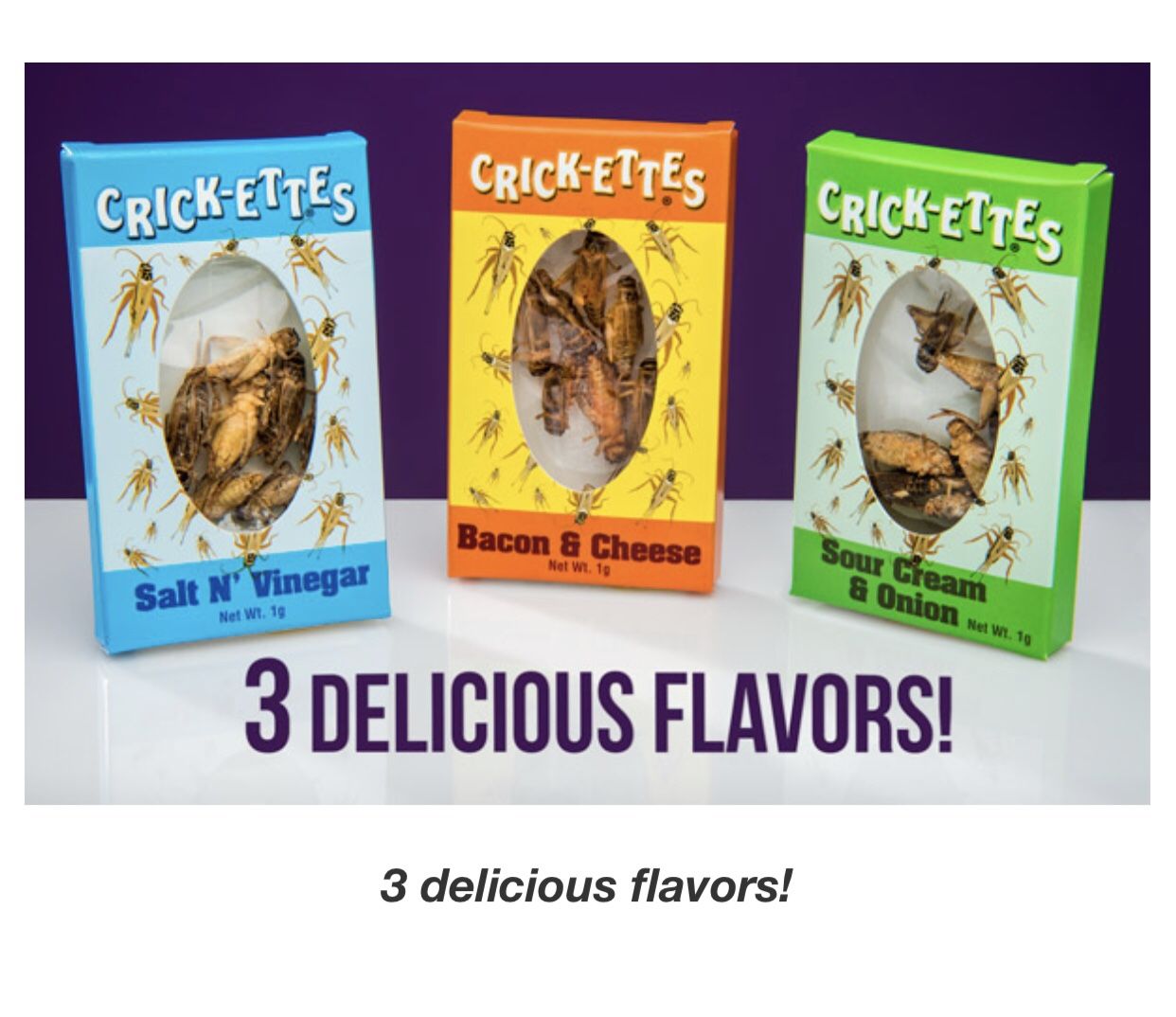 Seasoned Crickets, 3 Delicious Flavors! Bet You Can’t Just Eat One! Lol