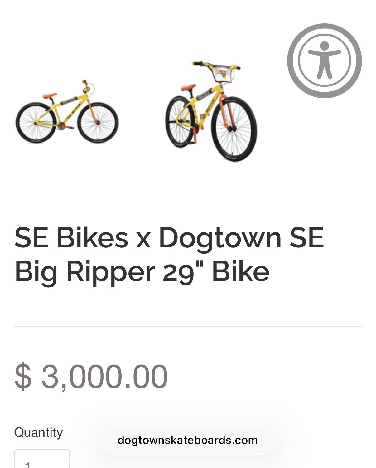SE BIG RIPPER / Dogtown 29er