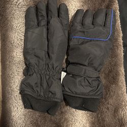 Snow Gloves