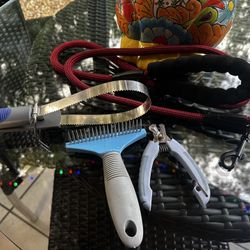 Set Para Mascota , Correa De Paseo , Cepillos Y Corta Uñas.