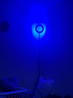 LED Ring Floor Lamp Color Light