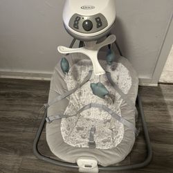 Graco Baby Swing 