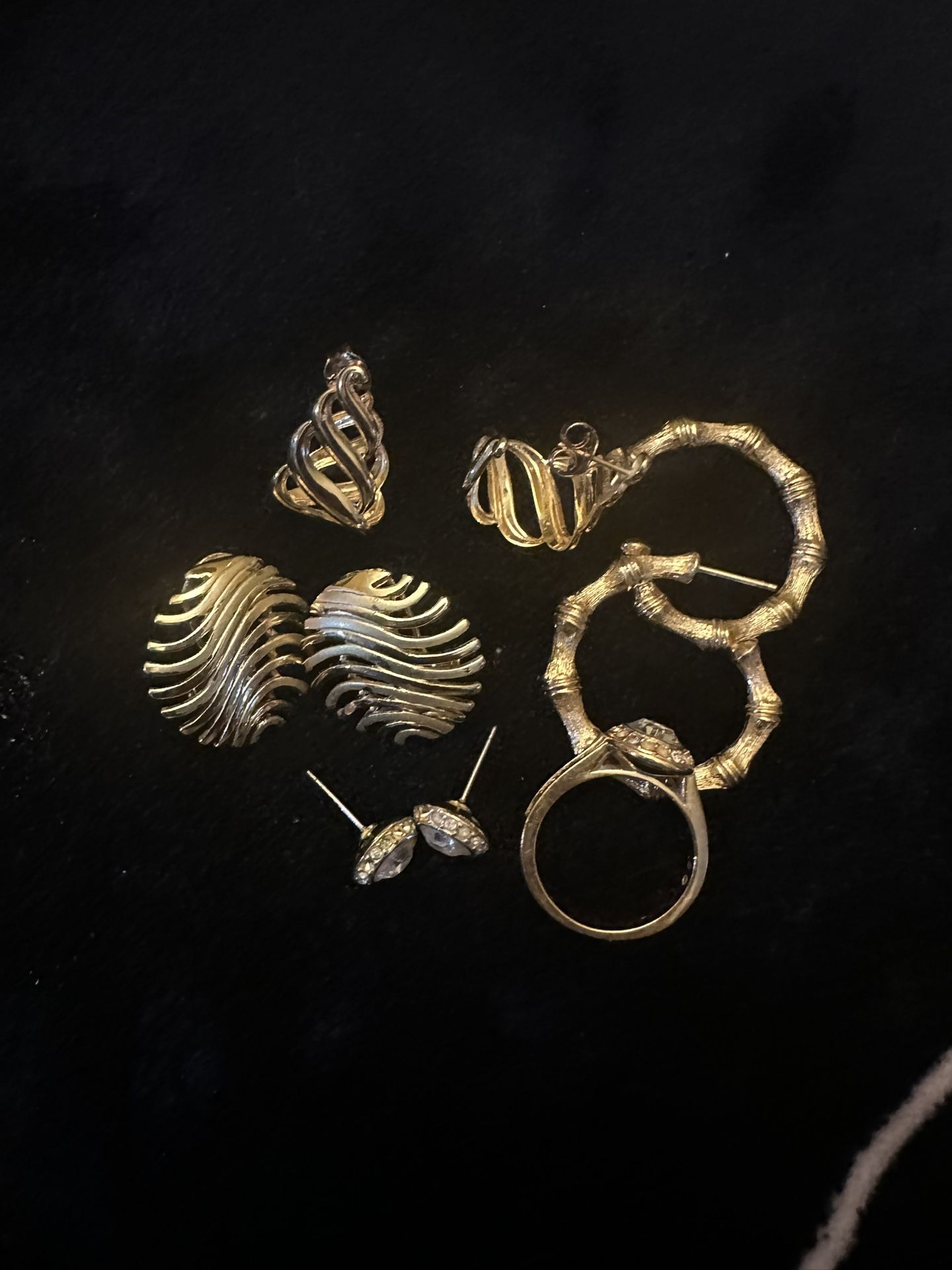 Lady’s Earrings