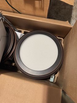 LED flush light