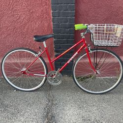 Schwinn Cruiser