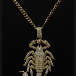 SPCY Gold Scorpion King Pendant with 22" Chain