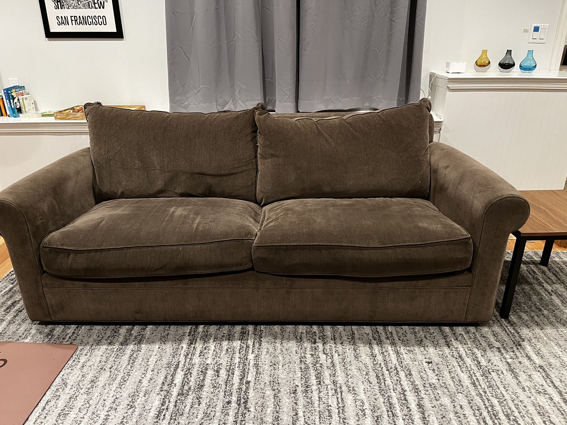 Couch with Comfortable Pullout Sleeper