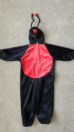 Ladybug costume