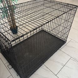 Cage