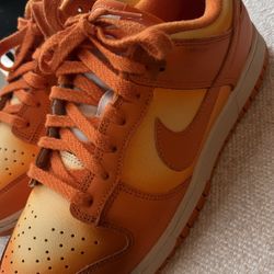 Nike Dunks Low