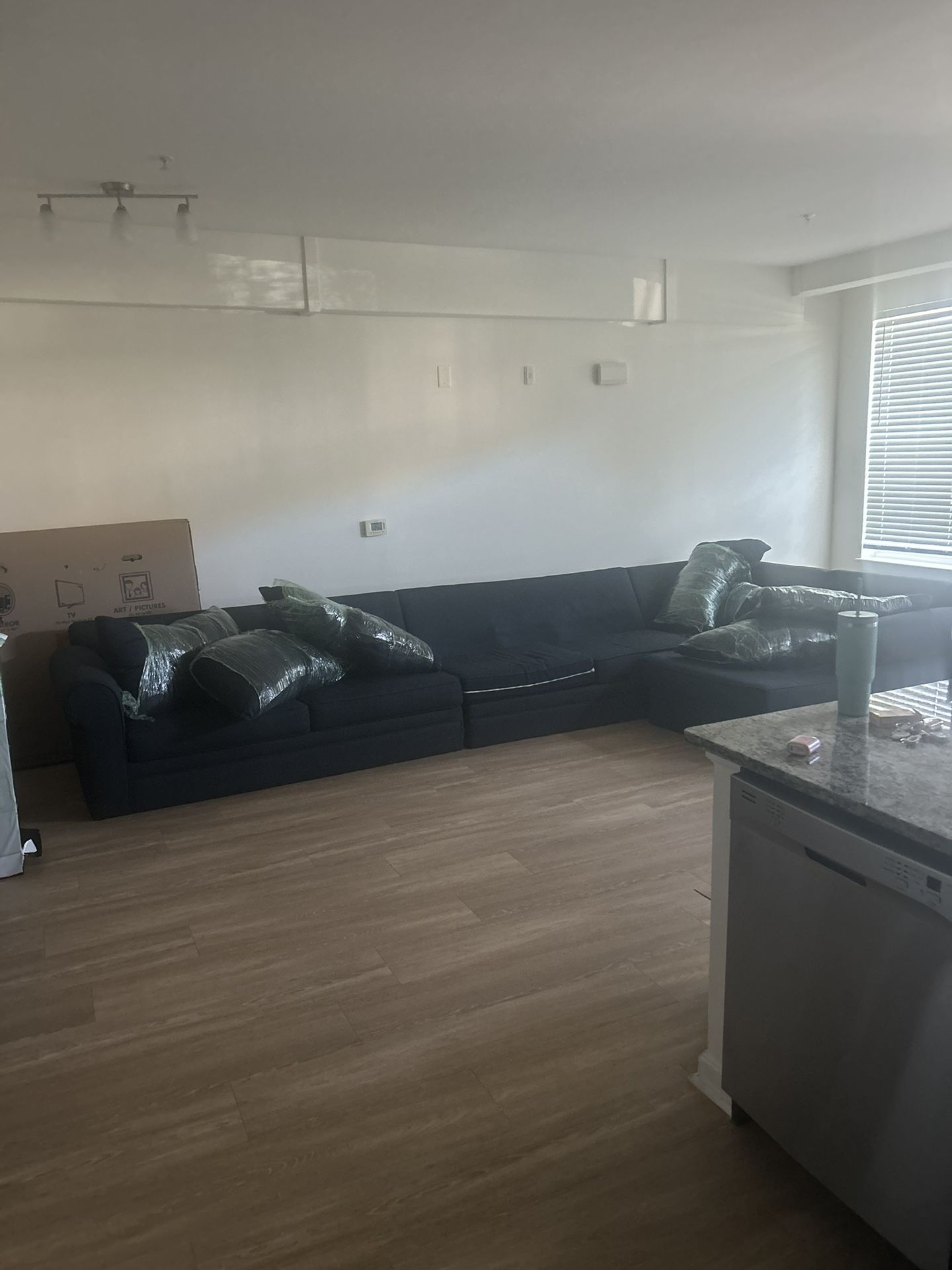 Dark Blue Sectional