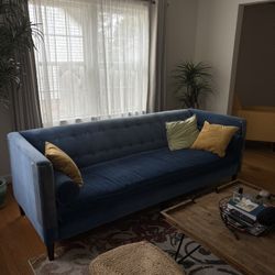 Blue Velvet Couch