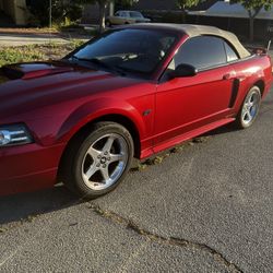 2001 Ford Mustang