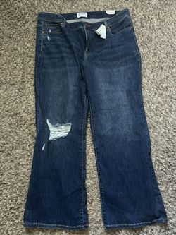 Lane Bryant Jeans signature Fit