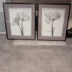 Beautiful Flower Portraits