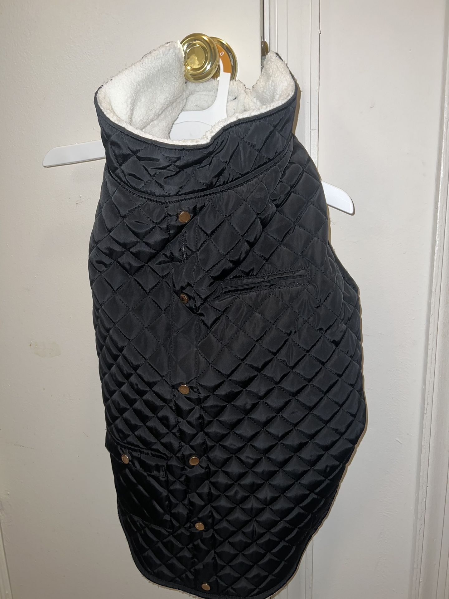NĂ¡utica Dog Jacket