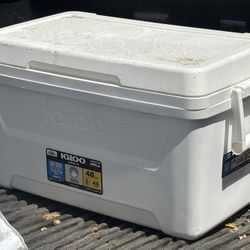 Igloo Cooler 