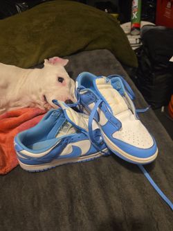 Nike Dunk Low "University Blue" (UNC)