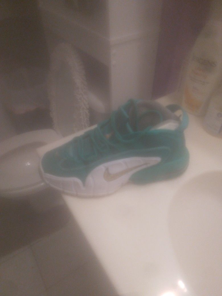 MENS. NIKE. AIR SIZE. 9.8