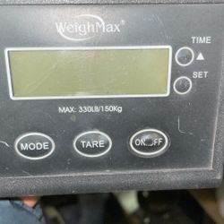 Digital Scale 