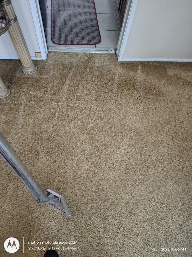 Carpet Kleaner