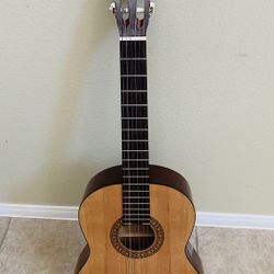 Sunlite GCN 1600G Acoustic Guitar  Classic 