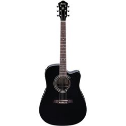 Electric Acoustic Ibanez