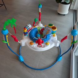 Baby Einstein Activity Jumper