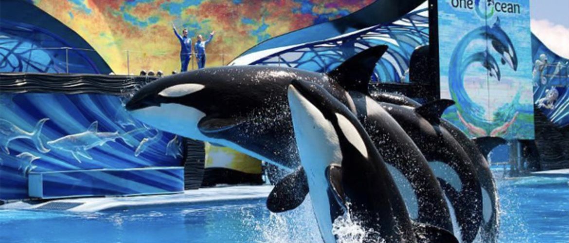 6 Sea world Orlando Tickets!