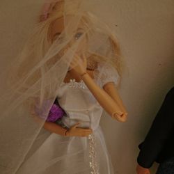 Bridal Barbie Set..Ken Needs Pants. 