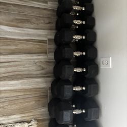 Hampton Dumbells