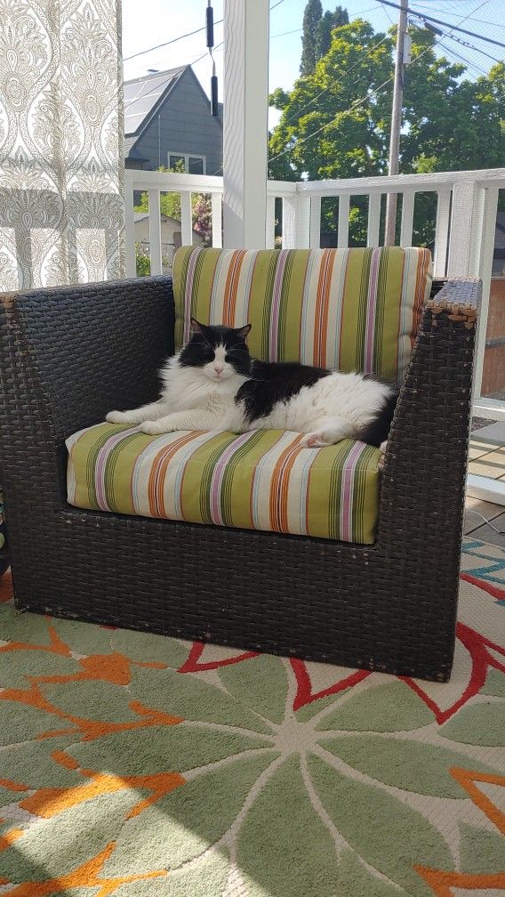 3 Piece Outdoor Patio Furniture