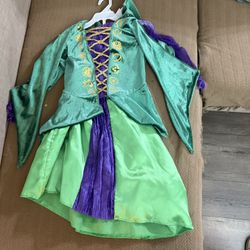 Winifred Witch Costume