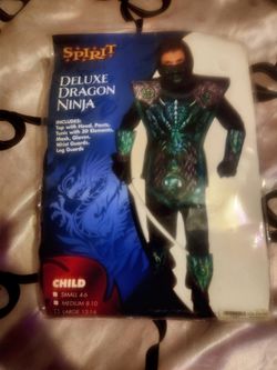 Dragon ninja costume 12/14