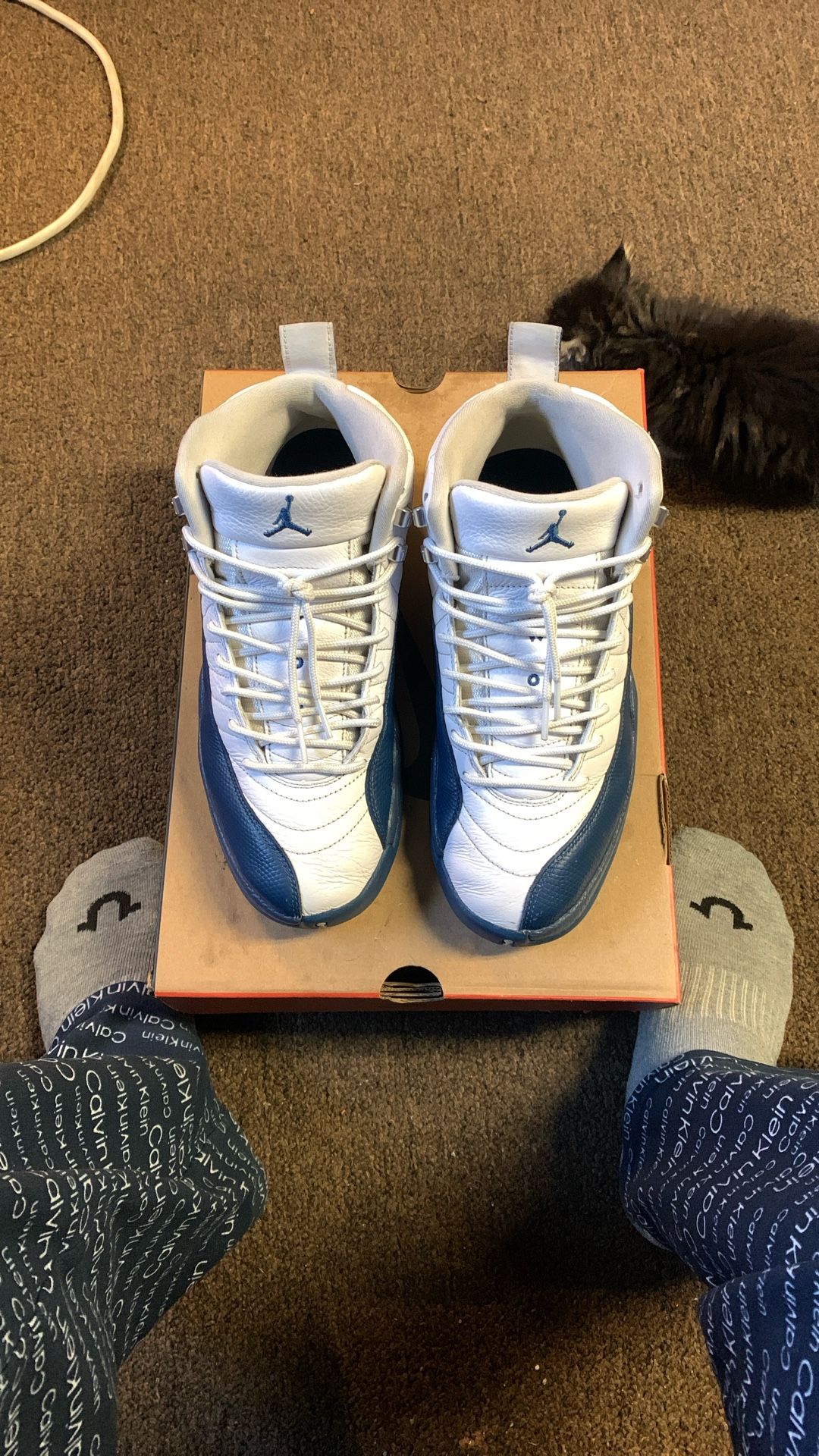 Jordan 12’s Retro French Blue