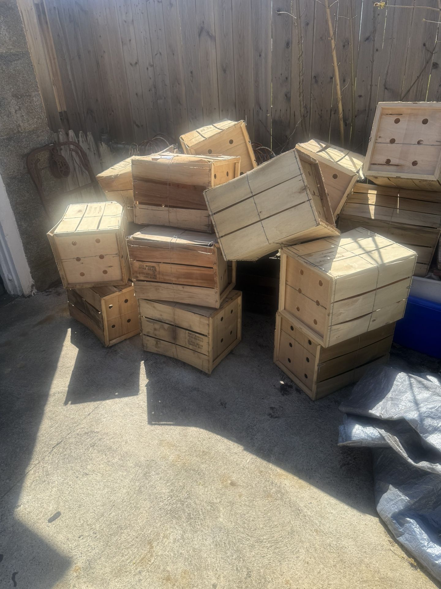 Live Stock Crates