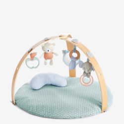 Ingenuity. Cozy Spot Duvet Baby Activity Gym and Play Mat