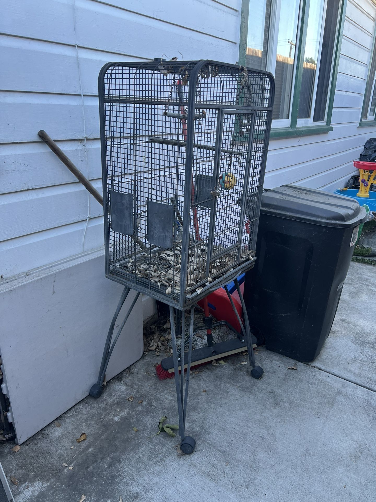Bird Cage 