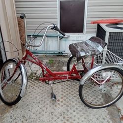 3 Wheel EZ-rider With A Basket