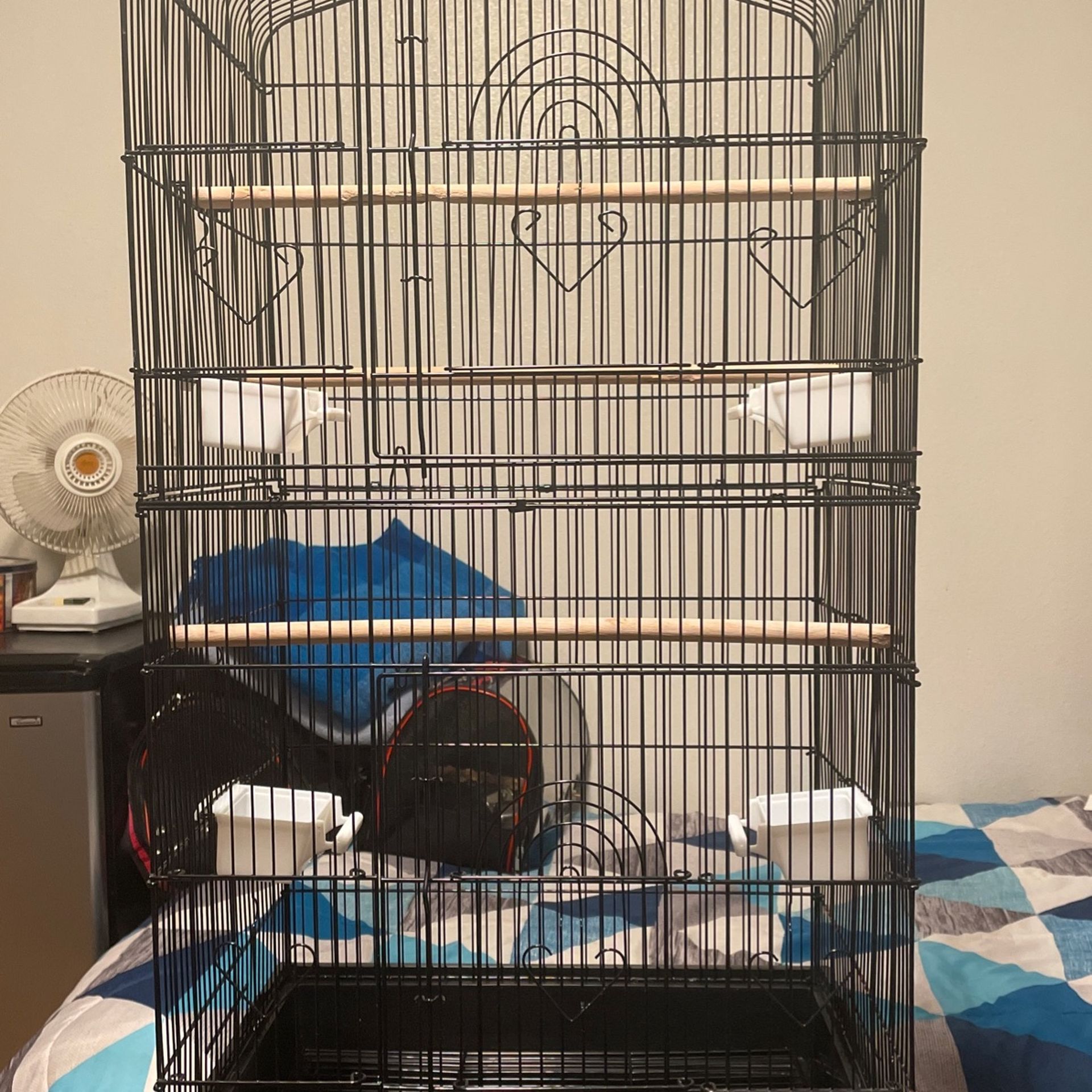 Bird Cage