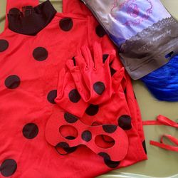 Full Miraculous costume Sz 6/6x 