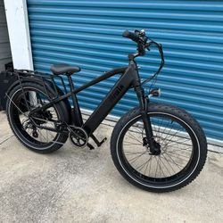 Dirwin Pioneer—Fat Tire Electric Bike