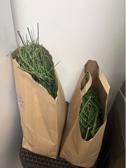 2 bolsas de cola de caballo seca por $5 las dos